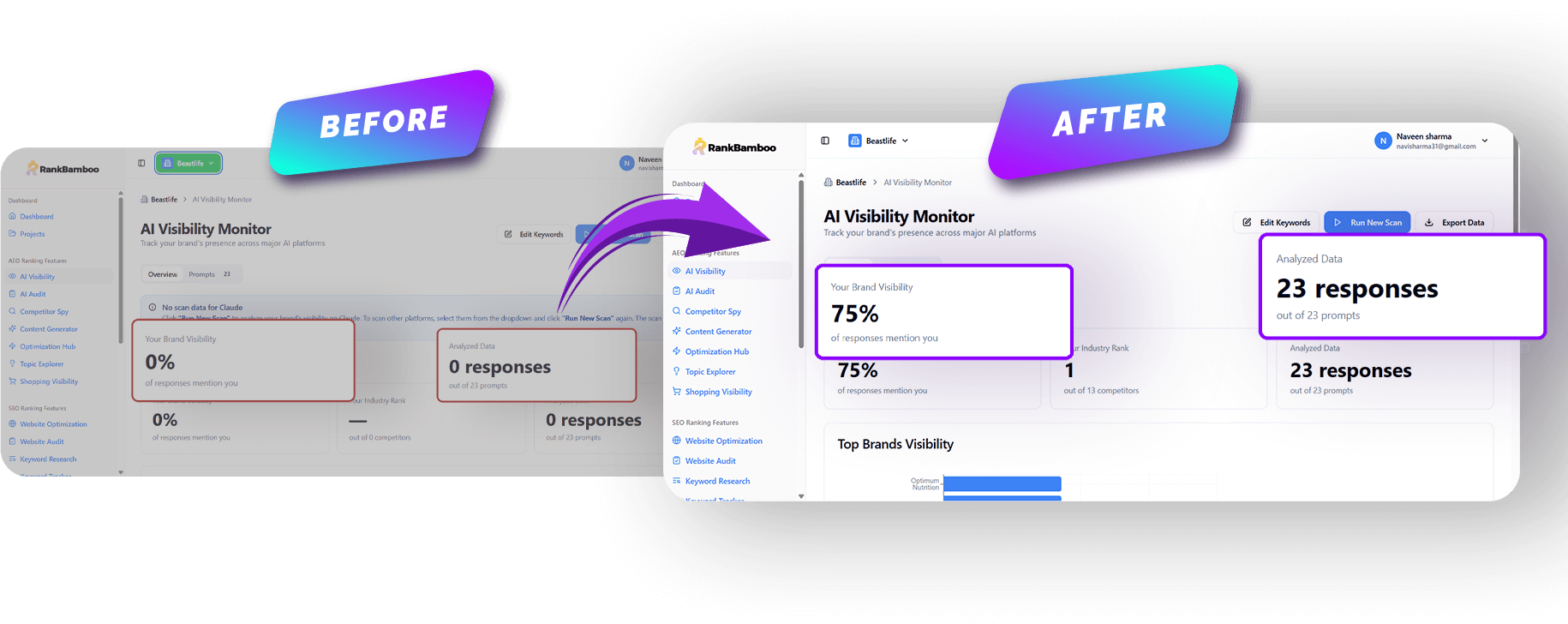 Competitive Spy Tool interface showing competitor citations in AI responses